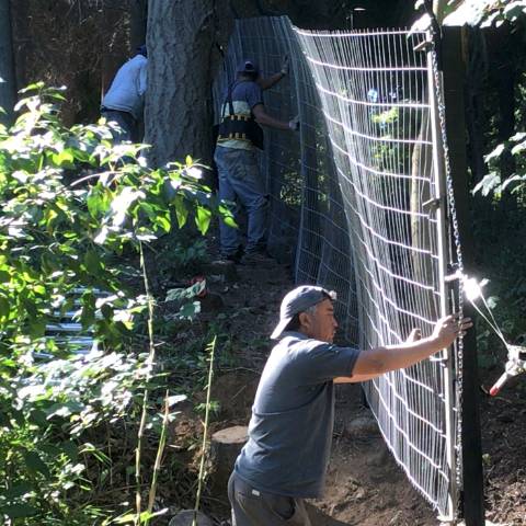 CONSTRUCCION PERIMETRO