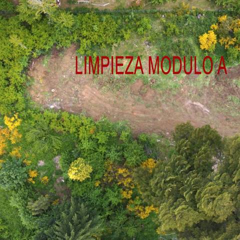 PREPARANDO EL TERRENO 